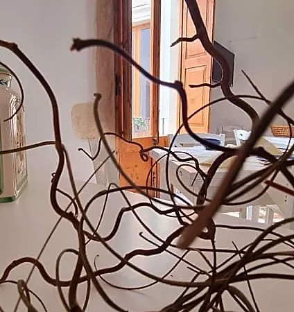 Palazzo Donna Chicchi 4*